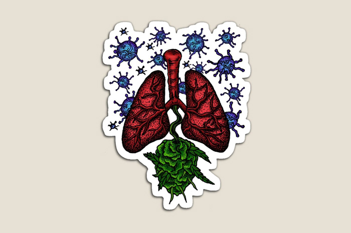 Ilustrasi TBC atau Tuberkulosis.