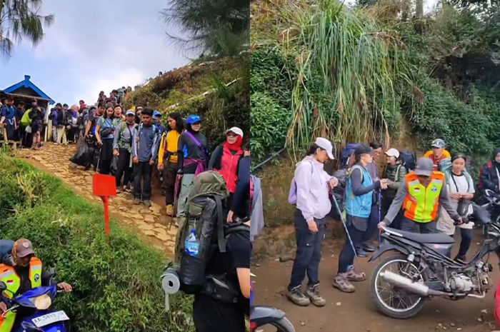 Penampakan jalur pendakian via Patakbanteng Gunung Prau yang padat merayap.