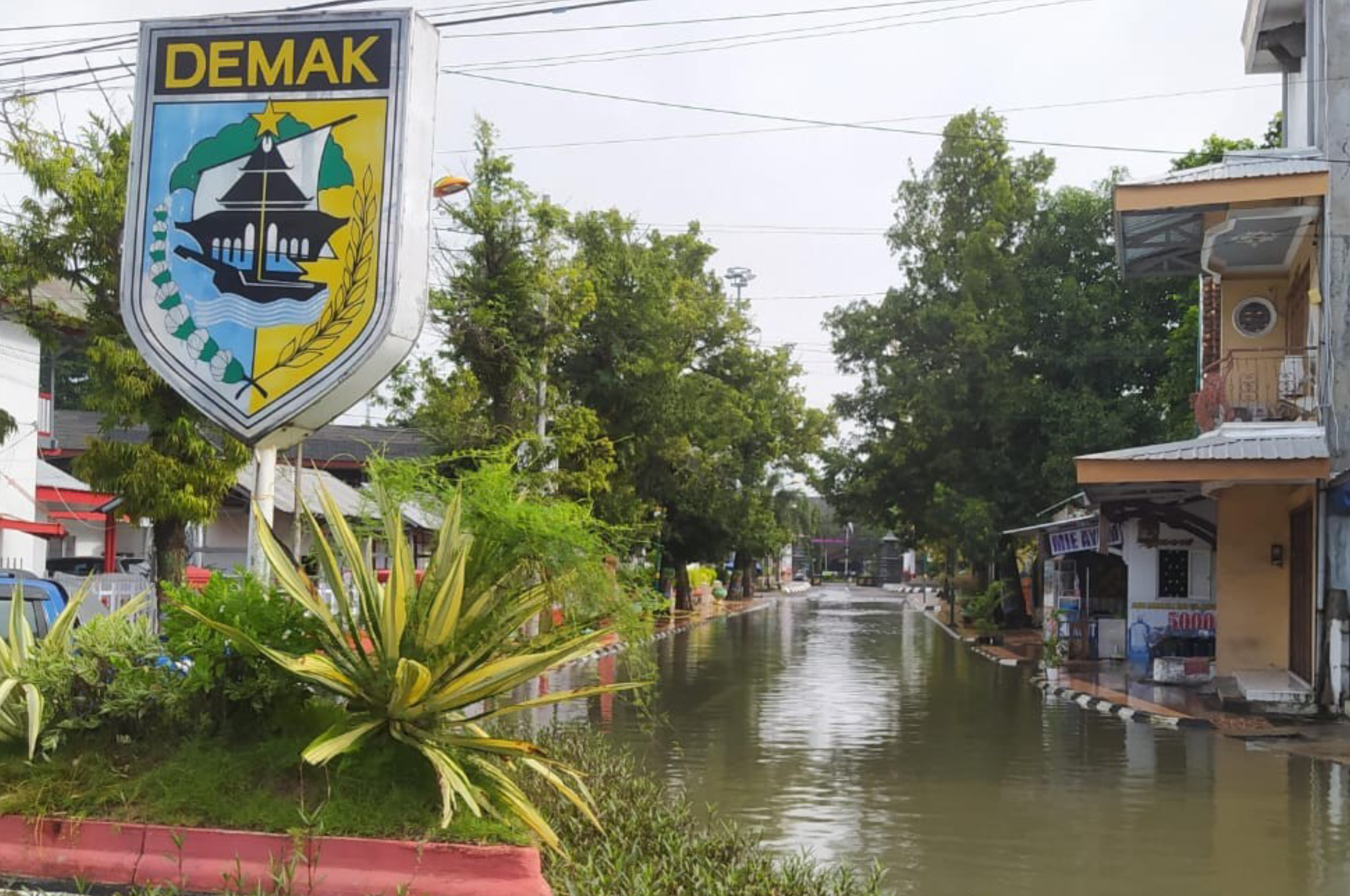 Potret : Banjir yang menggenangi sebagian besar wilayah Demak