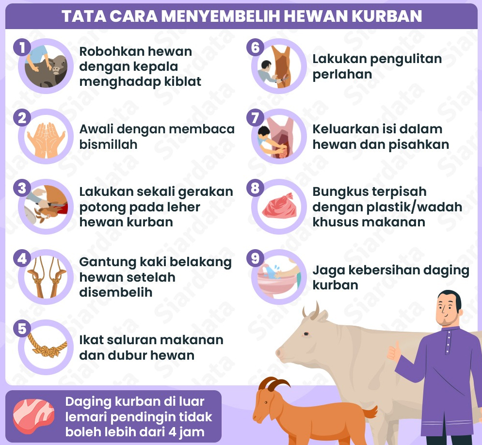 Inilah rentetan cara menyembelih hewan kurban