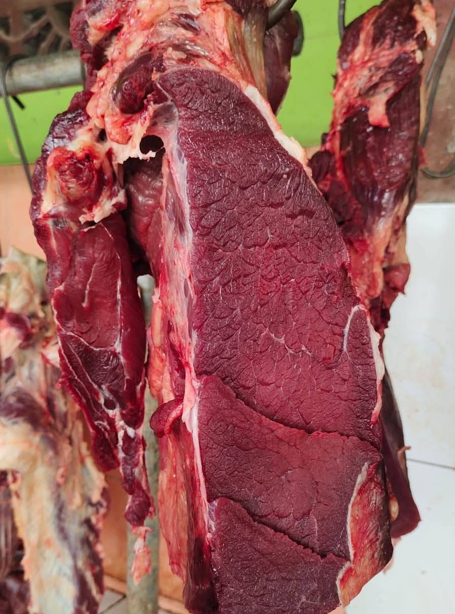 Daging Sapi