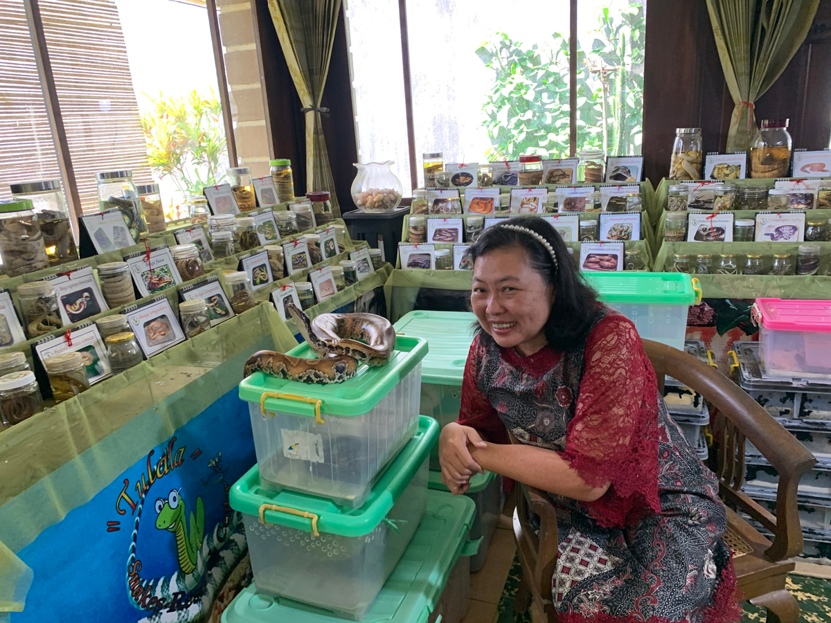 Lydia Apririasari bermain dengan ular jenis Phyton bernama ulem. DEVI KHOFIFATUR RIZQI/ JAWA POS RADAR SEMARANG