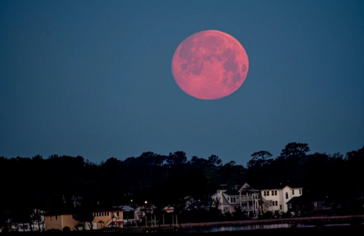 fenomena langka Strawberry Moon yang terjadi selama periode dua dekade