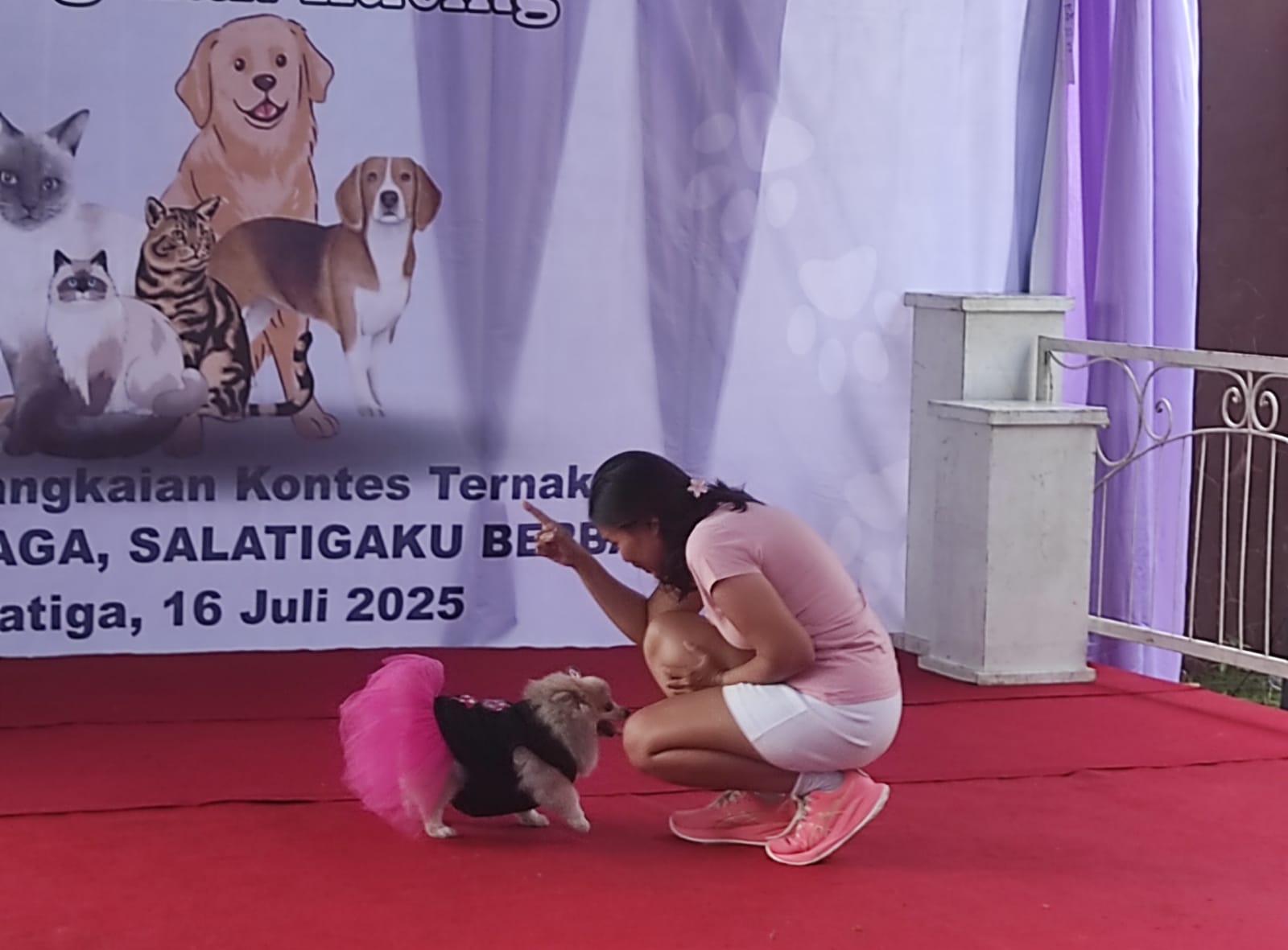 Kontes fashion show hewan peliharaan yang digelar oleh Dinas Pangan dan Pertanian (Dispangtan) Kota Salatiga, Rabu (16/7/2025).
