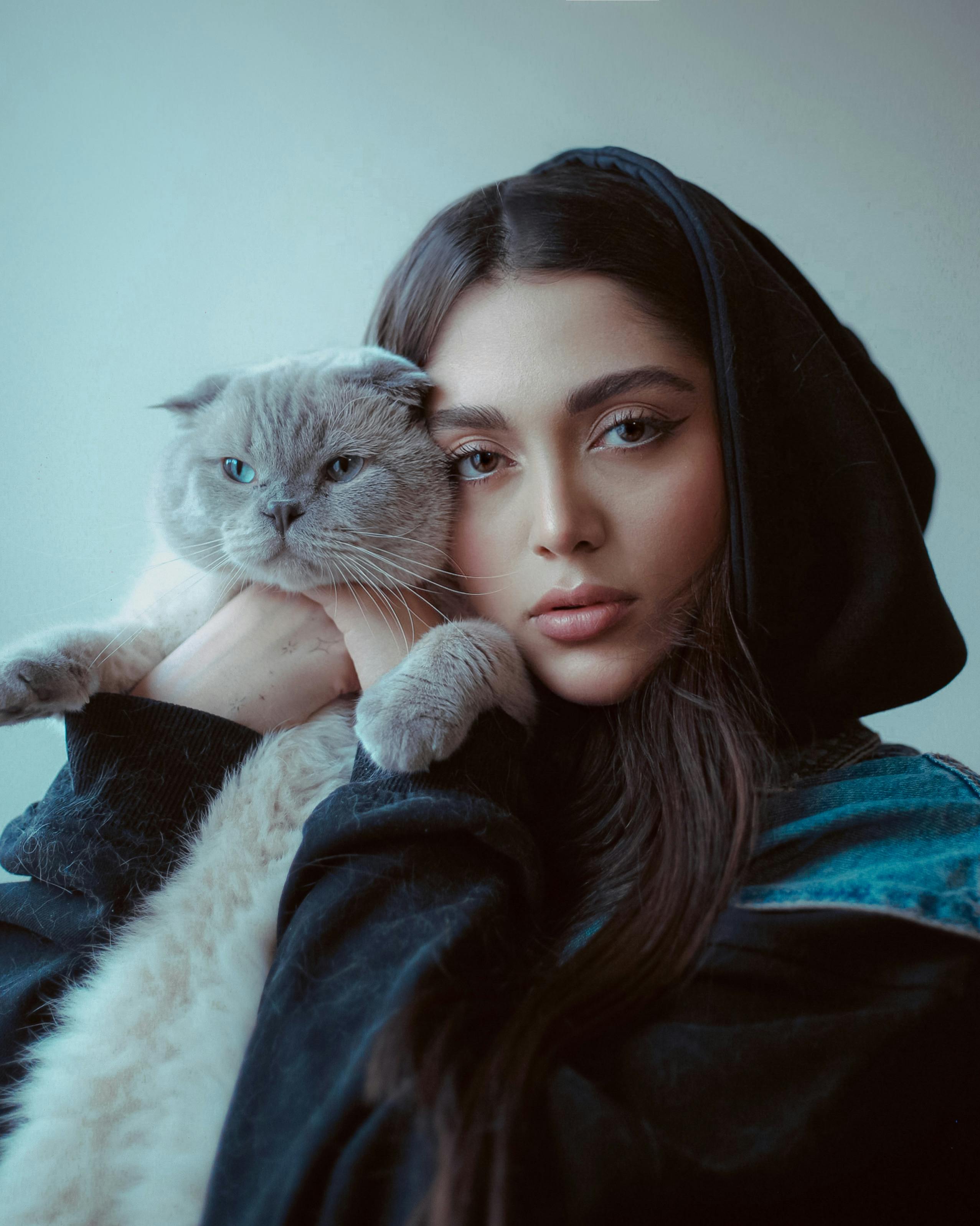 Fakta menarik! Ternyata kucing juga menganggap manusia seperti dirinya