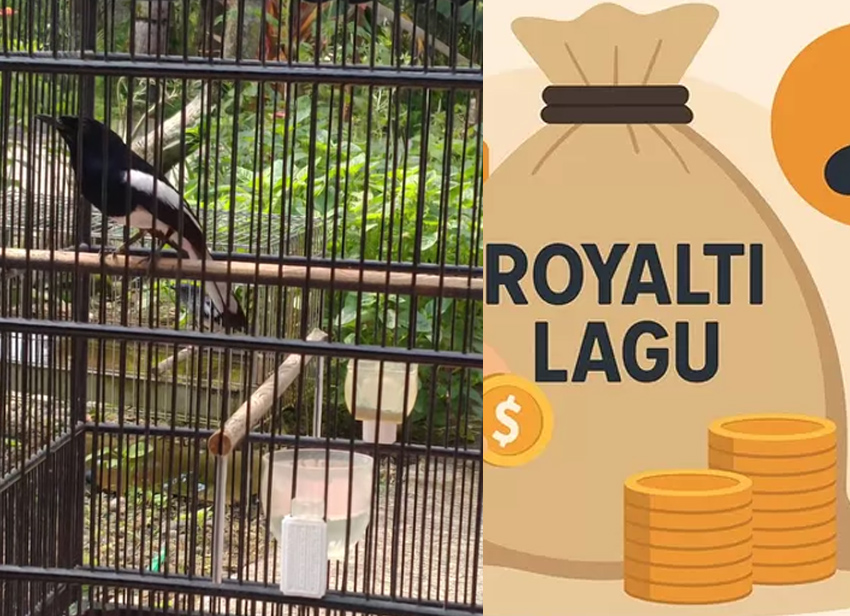 Lagu dan suara burung tetap ditarik royalti