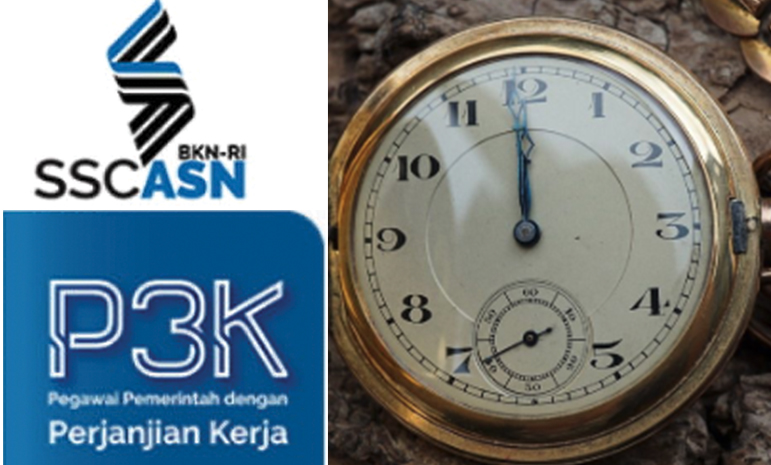 7 Jabatan Buat PPPK Paruh Waktu Dari Guru Sampai Tenaga Kesehatan