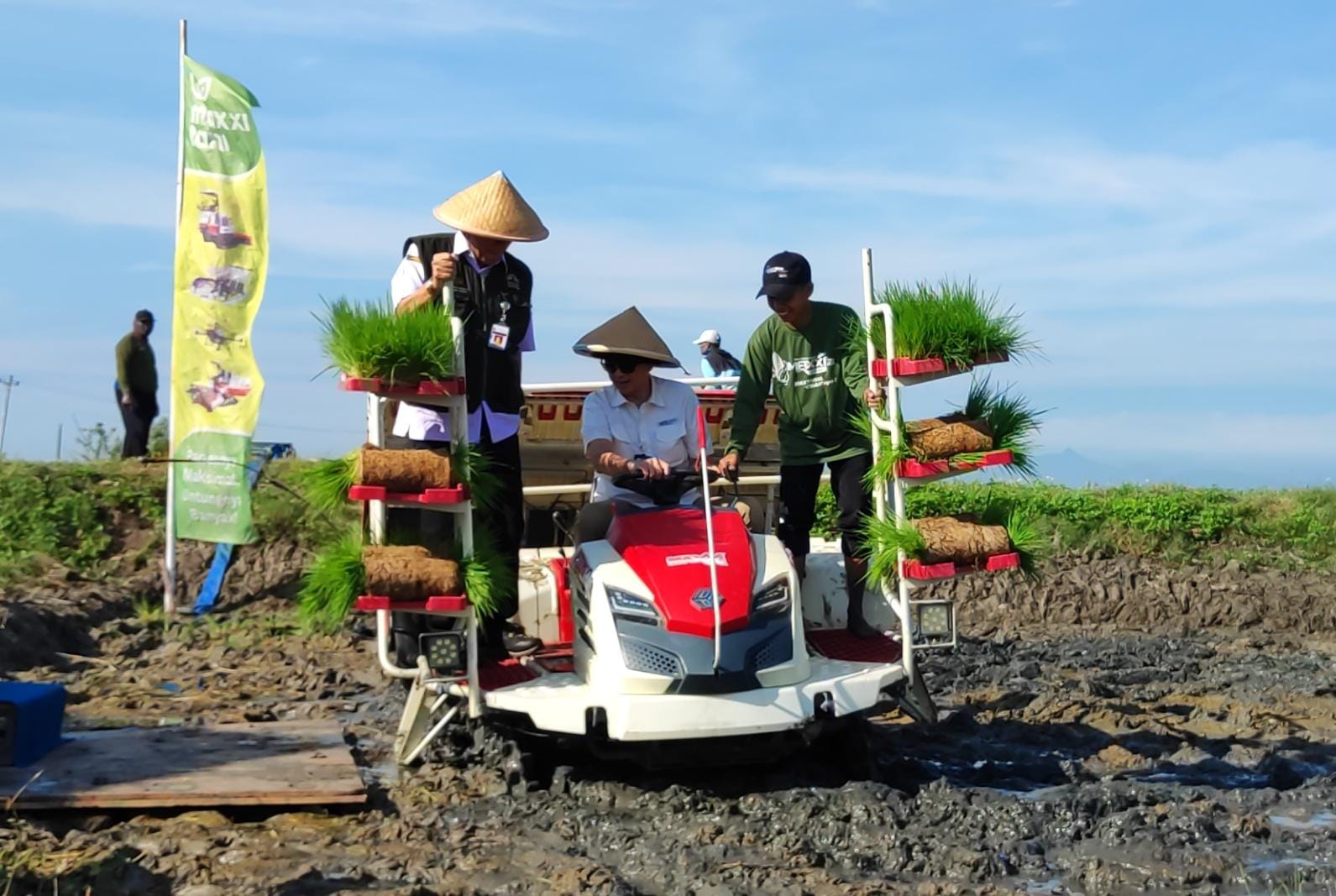 Kepala Perwakilan BI Jateng Rahmat Dwisaputra menanam padi menggunakan mesin rice transplanter dalam kegiatan Wiwitan Tandur Pari dan Sinergi Bersama di Demak.