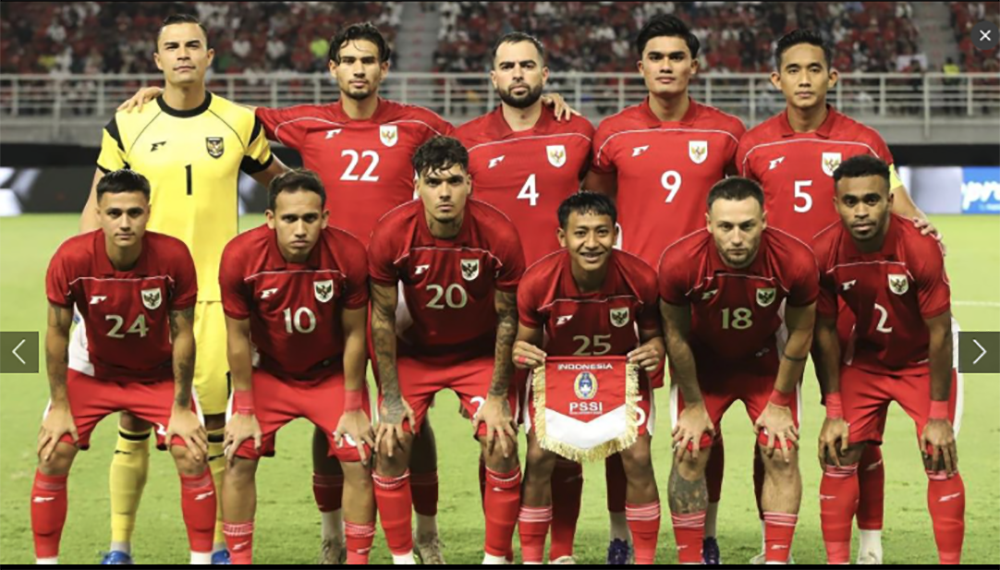 TIMNAS INDONESIA SENIOR 2025