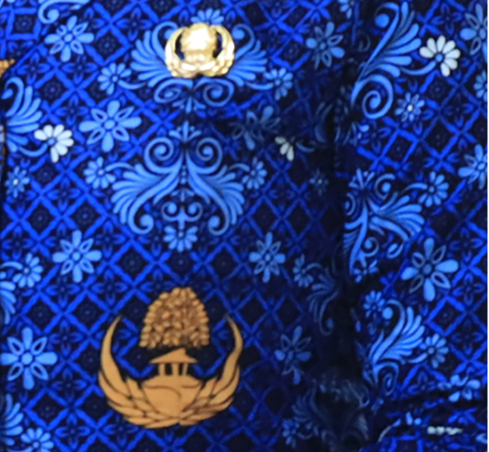 Daftar ASN Dapat Kenaikan Gaji dari Presiden Prabowo Sesuai Perpres 79 Tahun 2025