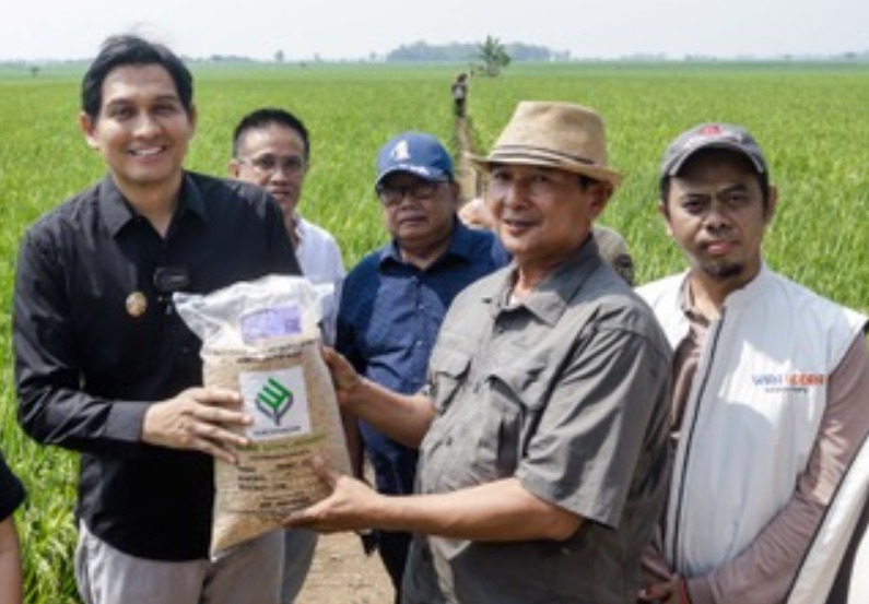 LABORATORIUM HIDUP: Dari kiri, Bupati Indramayu Lucky Hakim, perwakilan tim percepatan pembangunan Indramayu Joni Eko Saputro, Kepala Dinas Pertanian Kab. Indramayu Sugeng Heryanto, Ketua Gapoktan.