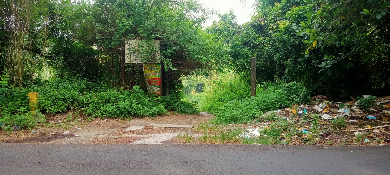 Jalan masuk menuju rest area KM 454 Tol Krapyak yang hanya bisa dilalui sepeda motor dan pejalan kaki. Kanan kiri dipenuhi semak (Foto:Sulistiono)