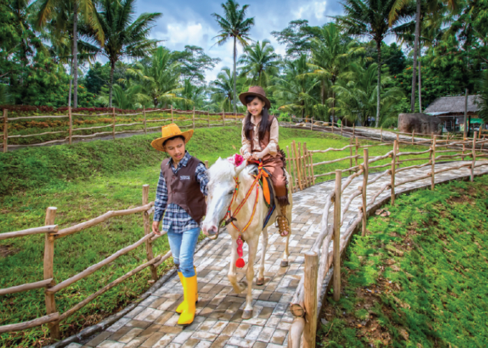 salah satu wahana yang dapat dicoba saat berkunjung ke Dairyland (sumber: cimorydairyland.com)