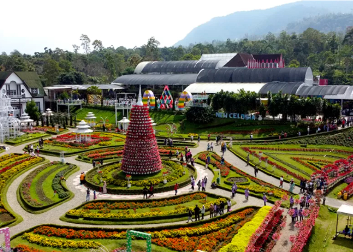 Keindahan taman bunga di wisata Taman Bungan Celosia (sumber: Radar Bangkalan)