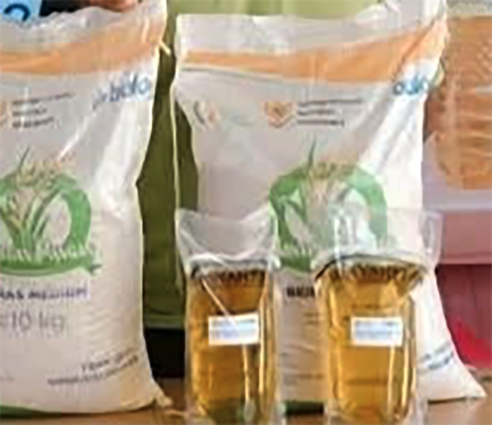 Surat Perintah Pencairan Dana (SP2D) Bansos PKH Tahap 4 Terbit Ini Daerahnya, Juga Tambahan Pangan Beras dan Minyak Goreng