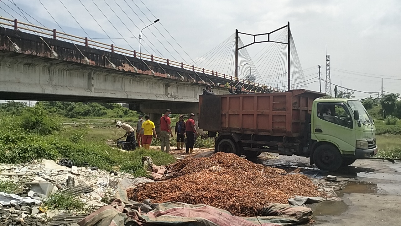 Pembersihan kepala udang membusuk di bantaran BKT, Jumat (7/11).