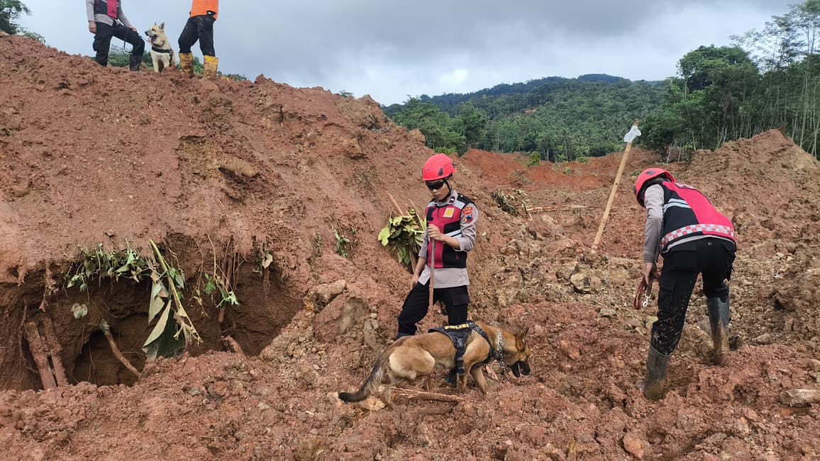 Tim K9 Polda Jateng membantu pencarian korban longsor Majenang, Cilacap