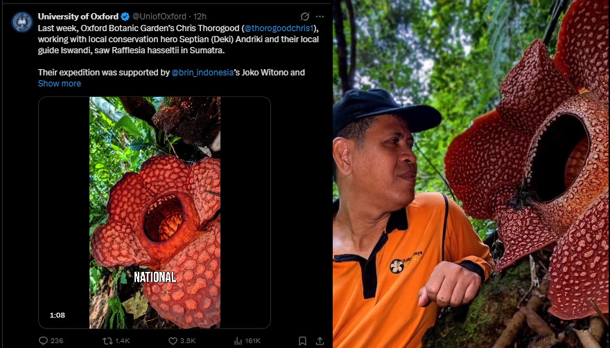 Unggahan resmi akun @UniofOxford dan Oxford Botanic Garden minggu ini