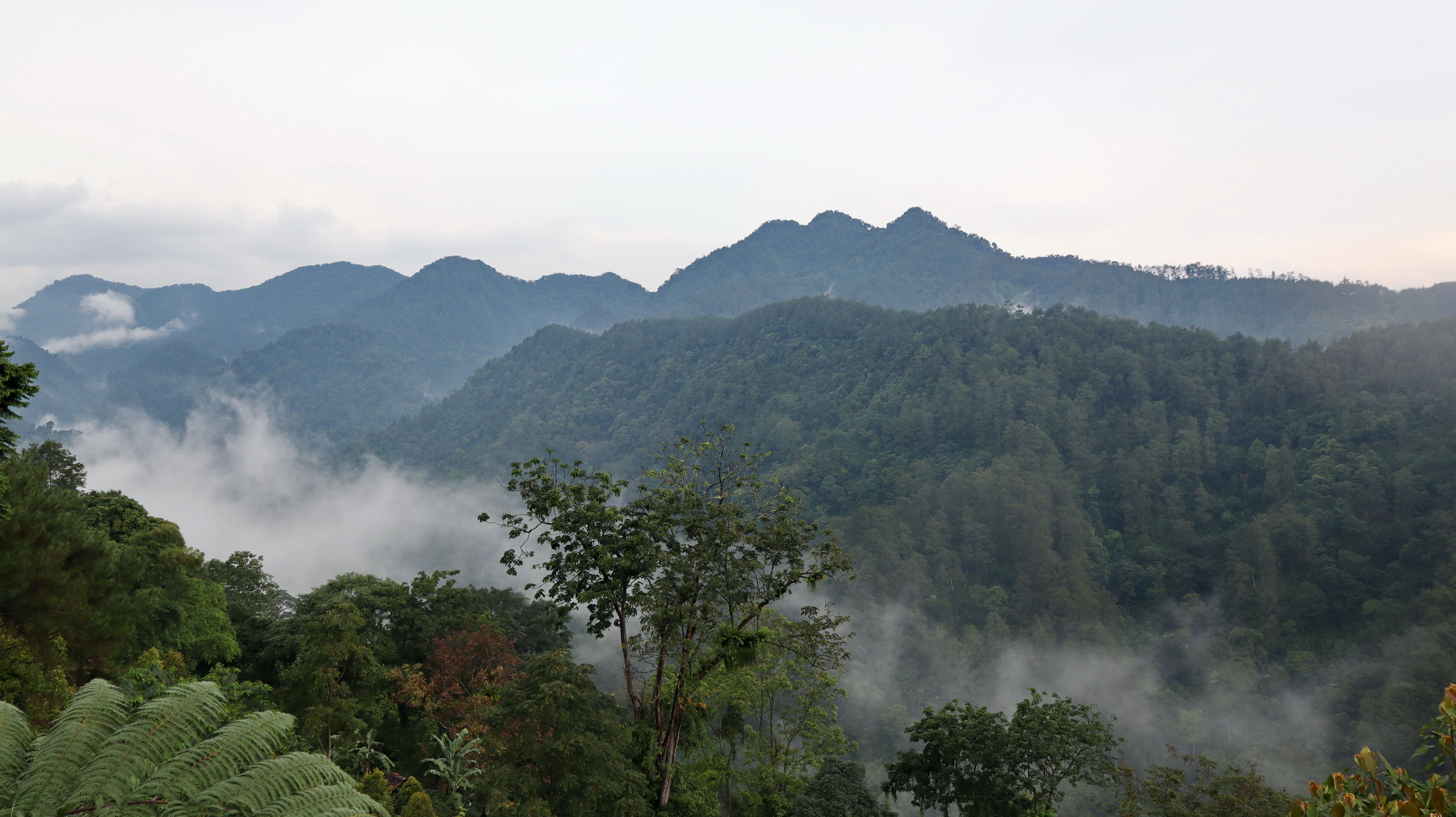 PEGUNUNGAN - Hamparan keindahan pegunungan Dieng ini juga terancam pembatatn hutan untk lahan pertanian hingga wisata.