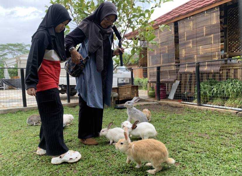 Wisatawan menikmati wahana feeding animal di destinasi Kebun Craken Temanggung.