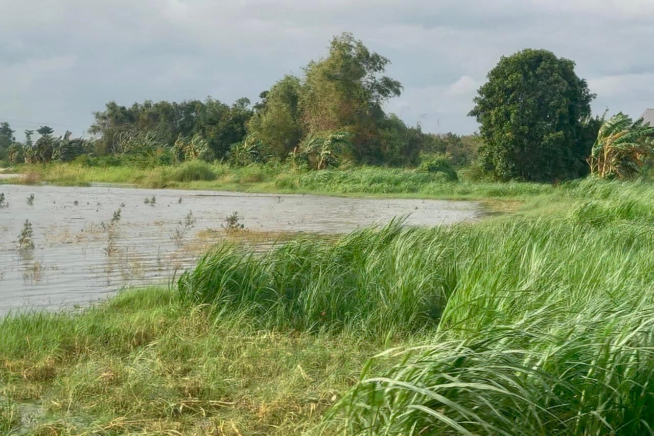 Pemprov sudah mengajukan klaim Asuransi Usaha Tani Padi (AUTP) bagi petani yang lahannya terdampak banjir di Kabupaten Kudus, Pati, Grobogan, dan Jepara.