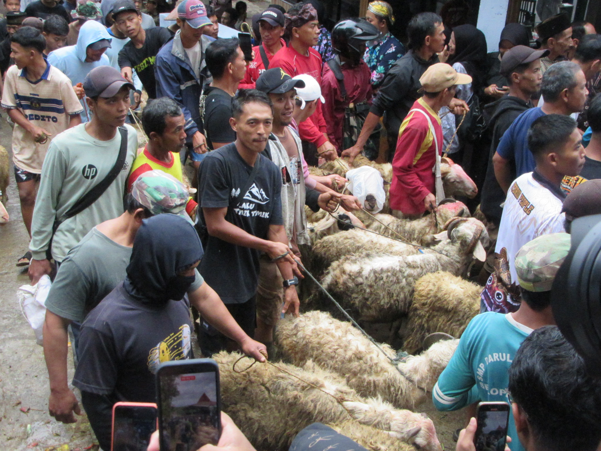 Kambing diarak sebelum disembelih dalam tradisi.