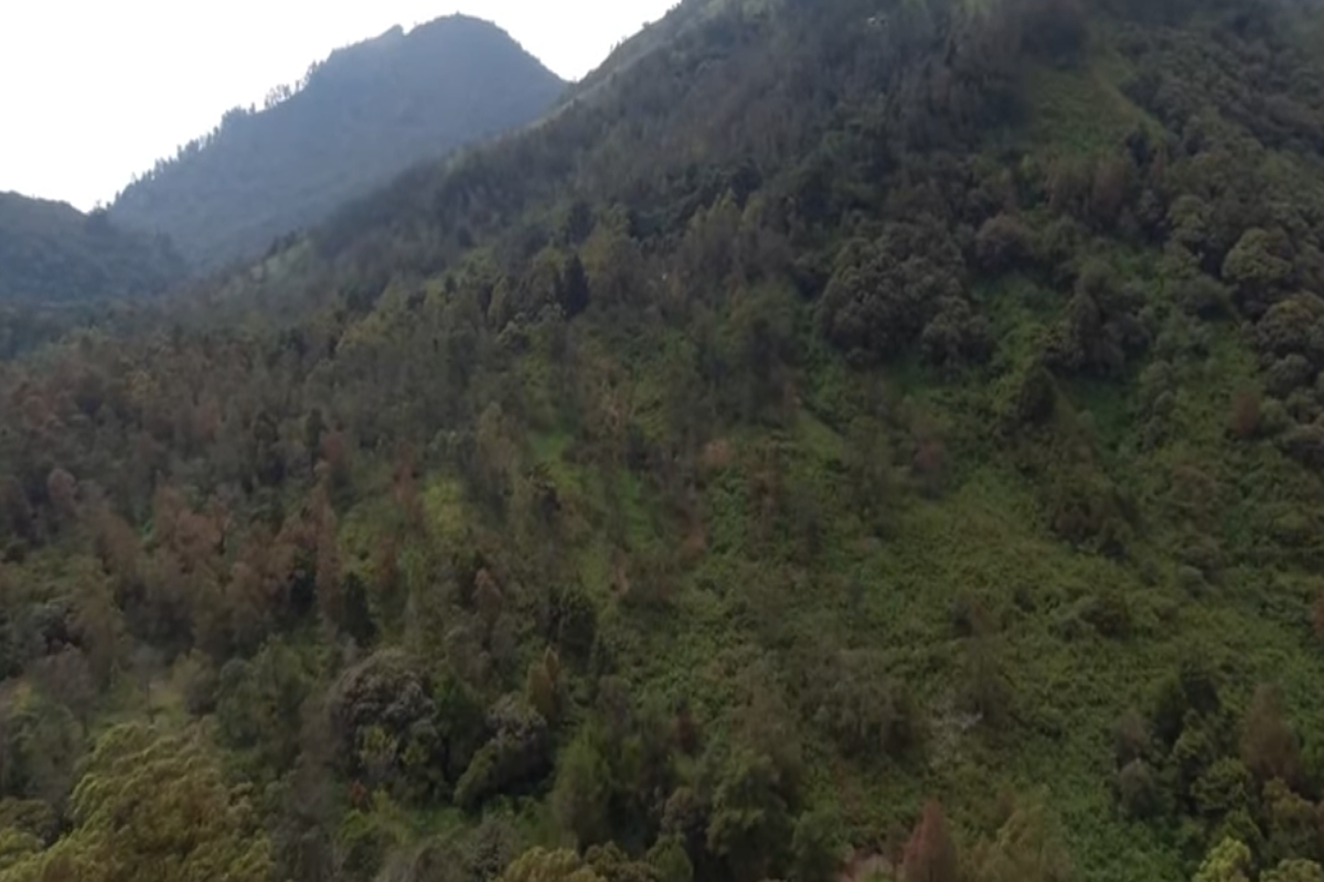 Hari Ke 9 Pendaki Hilang di Bukit Mongkrang Karanganyar Gunung Lawu, Pencarian Fokus Area di Atas Pos 3 Tapak Nogo