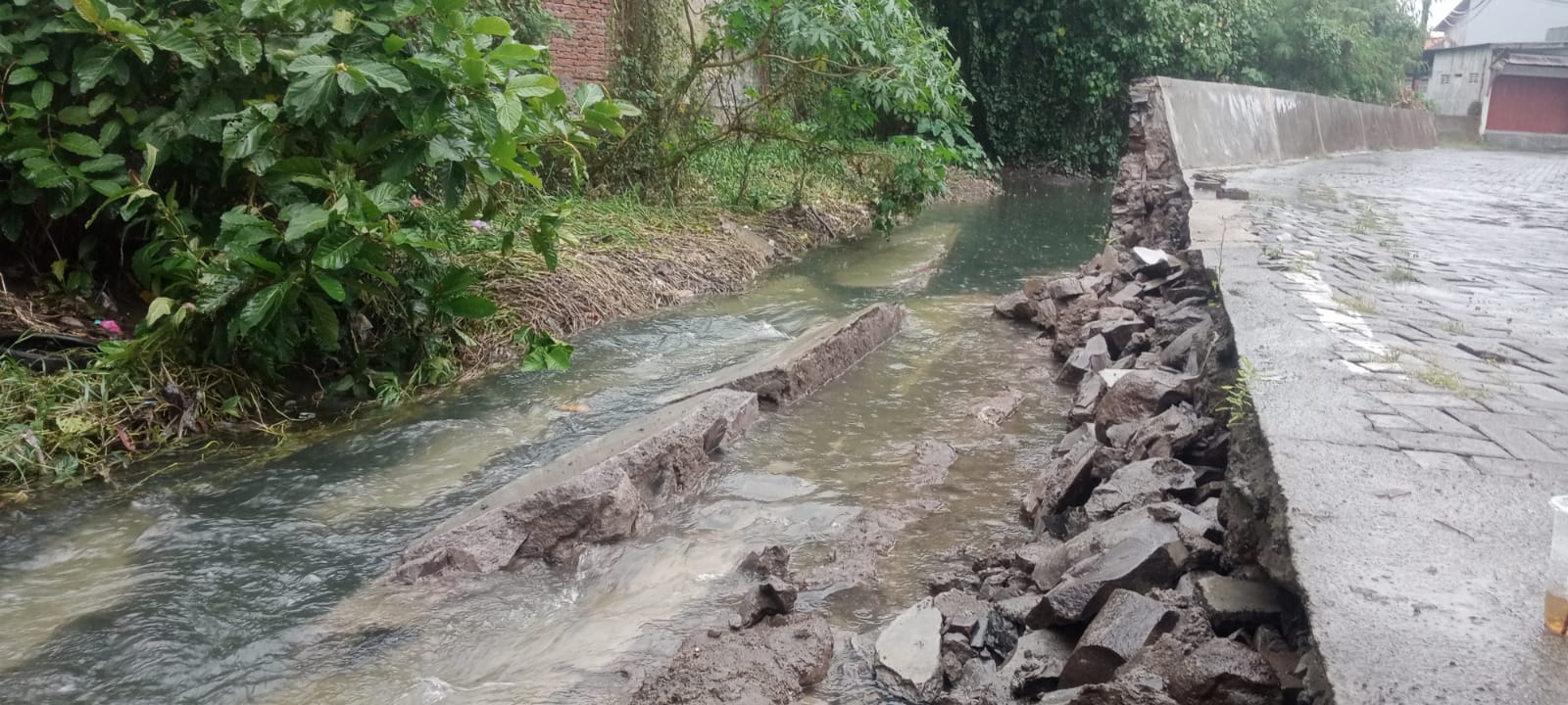 Kondisi tanggul sungai di Tlogosari Selatan RT 3 RW 7 yang ambrol karena tergerus derasnya aliran sungai. (Sulistiono)