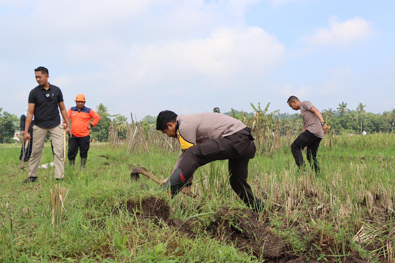 Kapolres Salatiga Ikuti Gropyokan Tikus di Tingkir, Minimalkan Hama Padi  SALATIGA, Radar Semarang &ndash; Wujud kepedulian terhadap ketahanan pangan dan kesejahteraan petani, Kapolres Salatiga AKBP Ade Pap