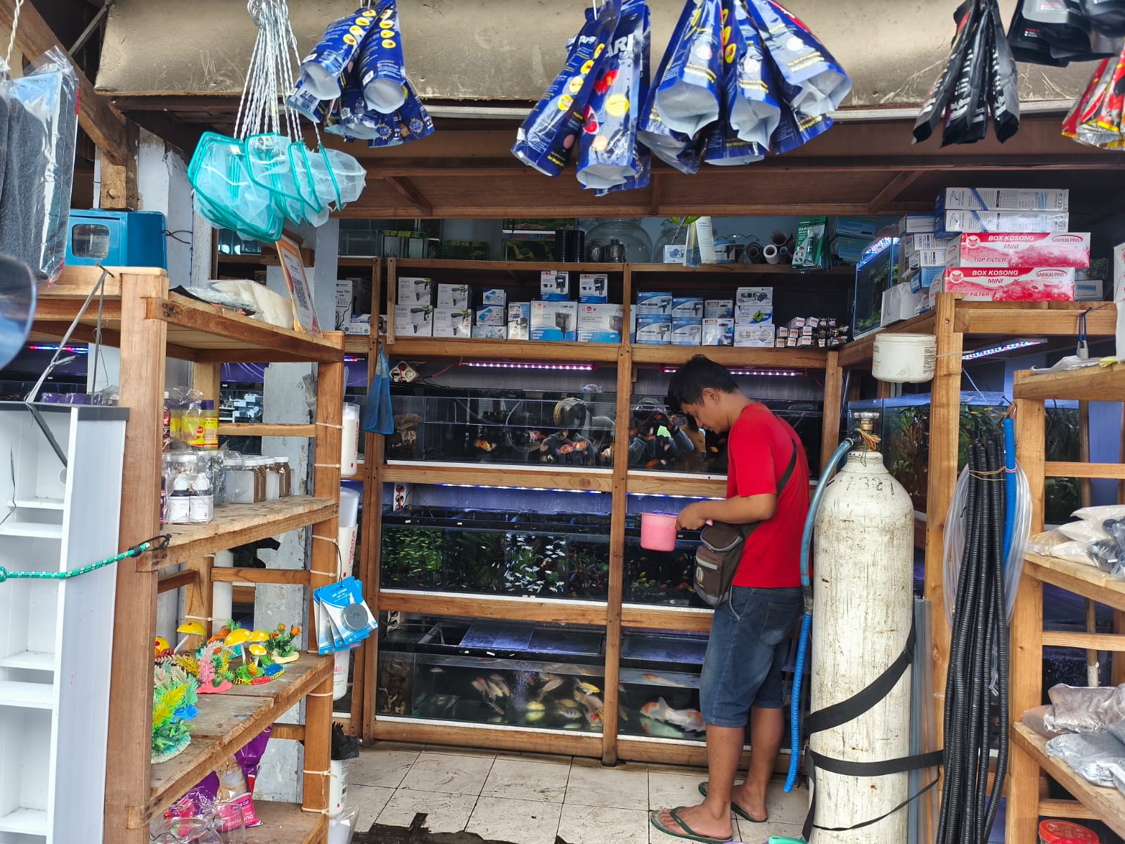 Menjelang Hari Raya Idulfitri, tren berburu ikan hias di Shopping Centre Salatiga meningkat tajam. (Dhinar Sasongko/Jawa Pos Radar Semarang)