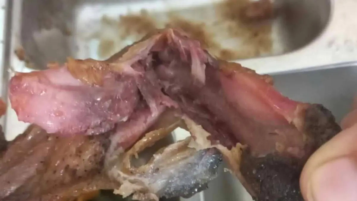 Foto makanan yang bermasalah dalam program MBG.