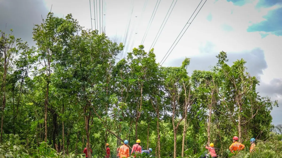 PENGAMANAN : PLN ULTG Surakarta melakukan pengamanan ROW pada jaringan SUTT 150 kV jalur Sragen–Ngawi, salah satu infrastruktur vital penyaluran listrik di wilayah Jawa Tengah. (HUMAS PLN UPT SALATIGA)