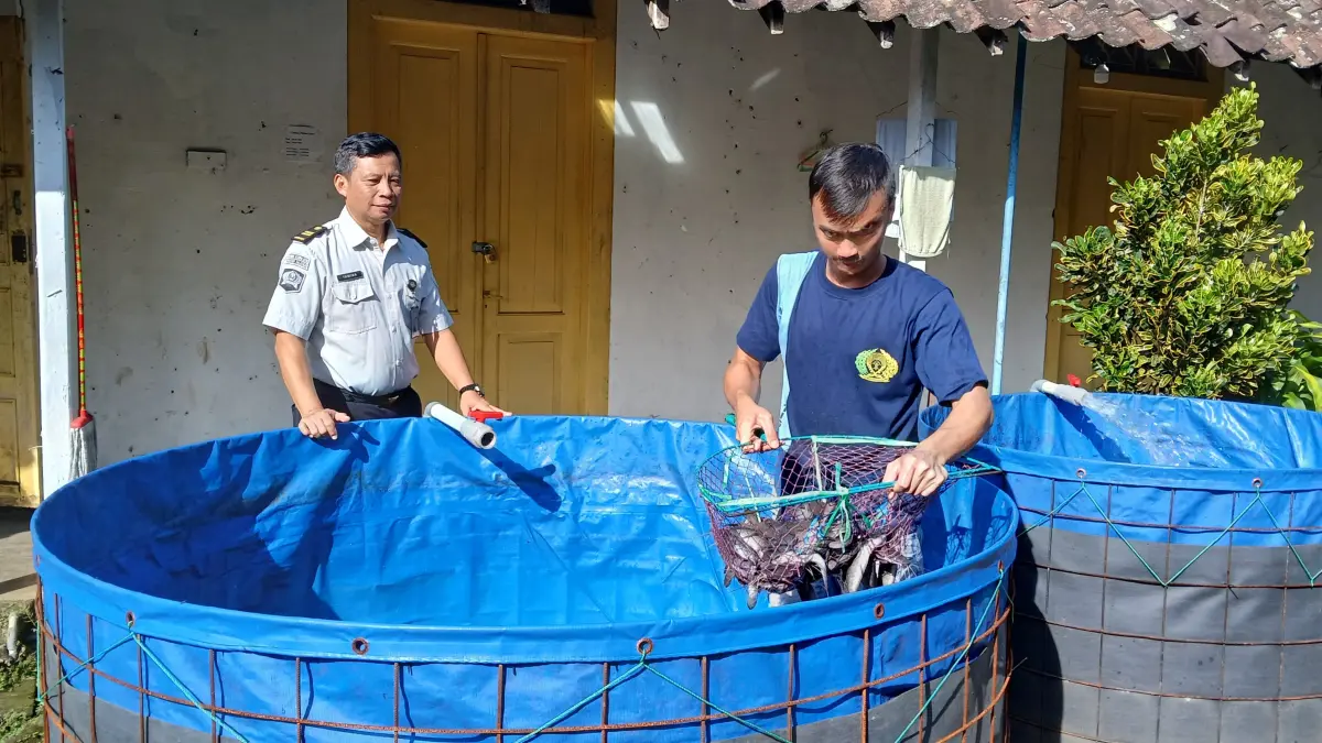 Program pembinaan di Rumah Tahanan Negara (Rutan) Kelas IIB Salatiga mulai menunjukkan hasil. Rabu (9/4), sebanyak 65 kilogram lele dipanen dari kolam budidaya yang dikelola warga binaan bersama petugas.