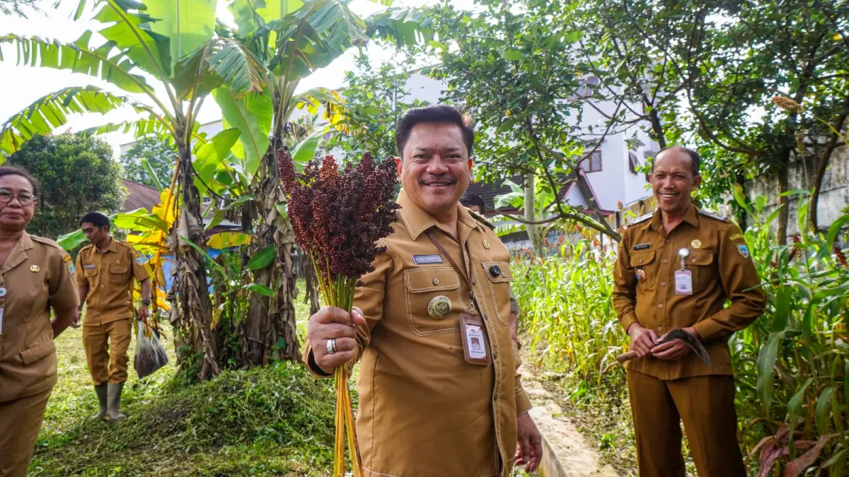 Panen perdana sorgum dan padi kering pada pilot project pengembangan pangan alternatif Pemkot Salatiga, Senin (13/4).