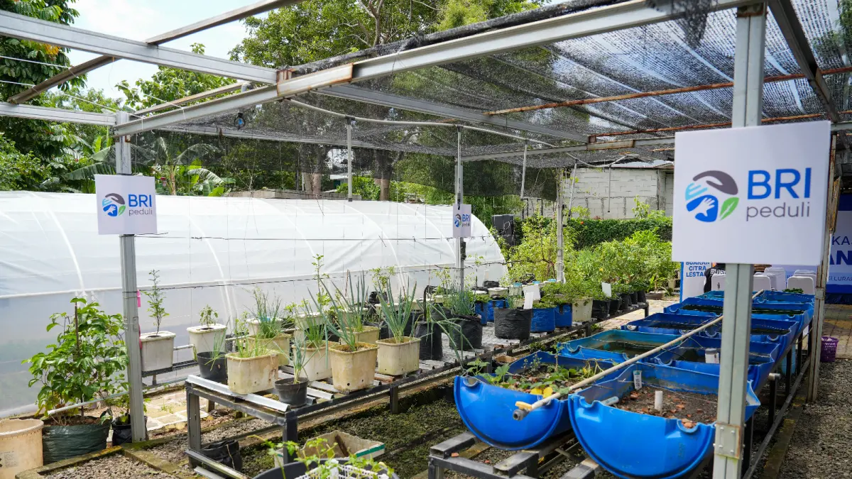 Perempuan Berdaya Lewat Program BRInita, Intip Kisah Inspiratif KWT Buaran Citra Lestari Manfaatkan Lahan Sempit untuk Tanaman Produktif