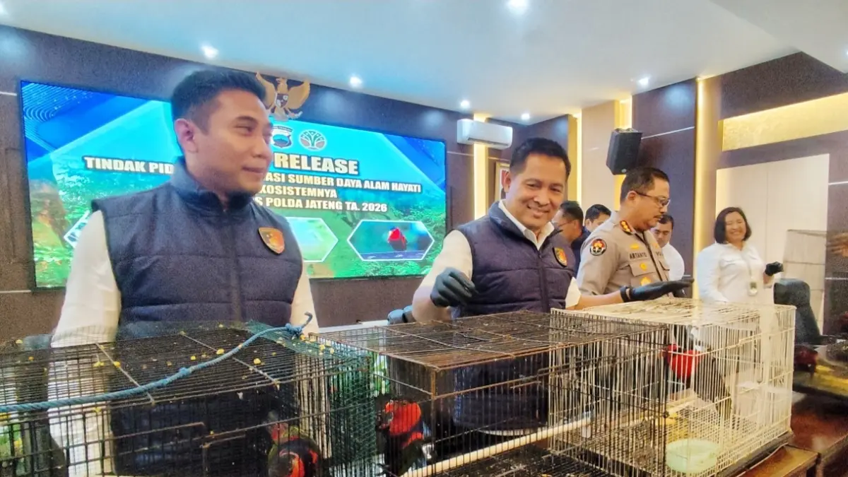 Barang bukti burung Kasturi yang ditampilkan Ditreskrimsus Polda Jateng saat rilis Senin (4/5/2025). 