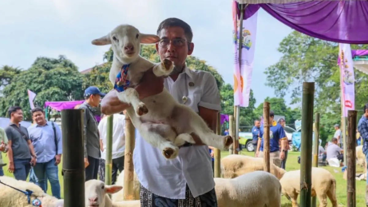 Sekretaris Daerah Provinsi Jawa Tengah, Sumarno menghadiri Jambore Inseminator dan Kontes Ternak Piala Gubernur Jateng Tahun 2026, Kompleks Tarubudaya Provinsi Jawa Tengah Jumat, 22 Mei 2026.
