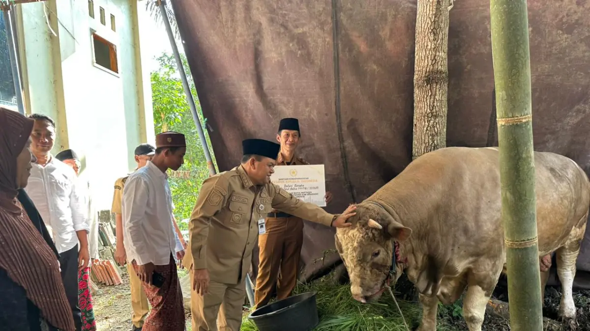 Bupati Semarang Ngesti Nugraha serahkan bantuan sapi dari Presiden Prabowo Subianto untuk masyarakat Dusun Duren Desa Duren Kecamatan Sumowono Kabupaten Semarang. Selasa (26/5).