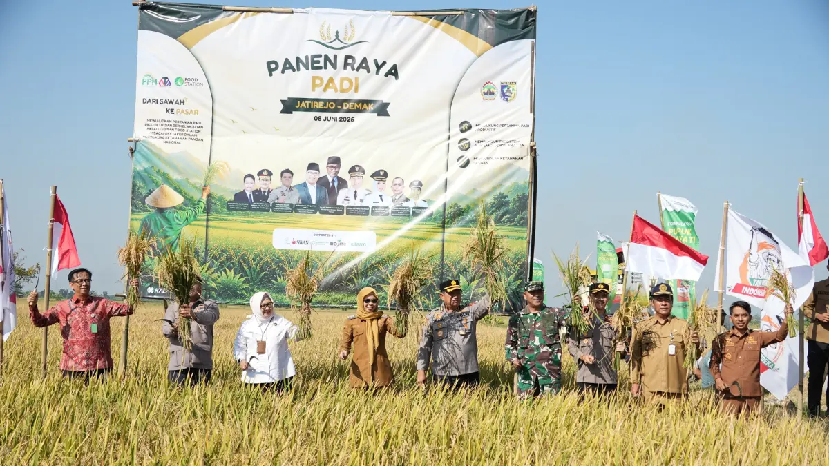 Bupati Demak dr Eistianah bersama Ketua DPN Tani Merdeka Don Muzakir dan Deputi Usaha Pangan Kemenko Pangan Widiyastuti panen raya padi di Jatirejo Karanganyar.(Wahibpribadi)