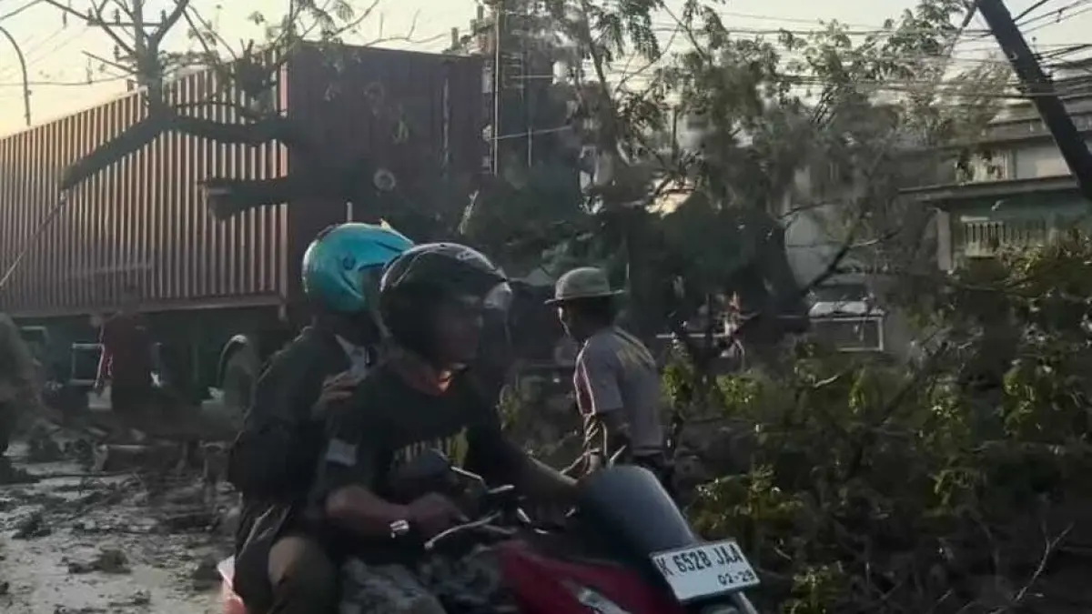 Pohon tumbang timpa truk trailer, penyebab kemacetan panjang di jalur Pantura Pati-Juana, Jumat pagi ini (19/6/26). (Ist)