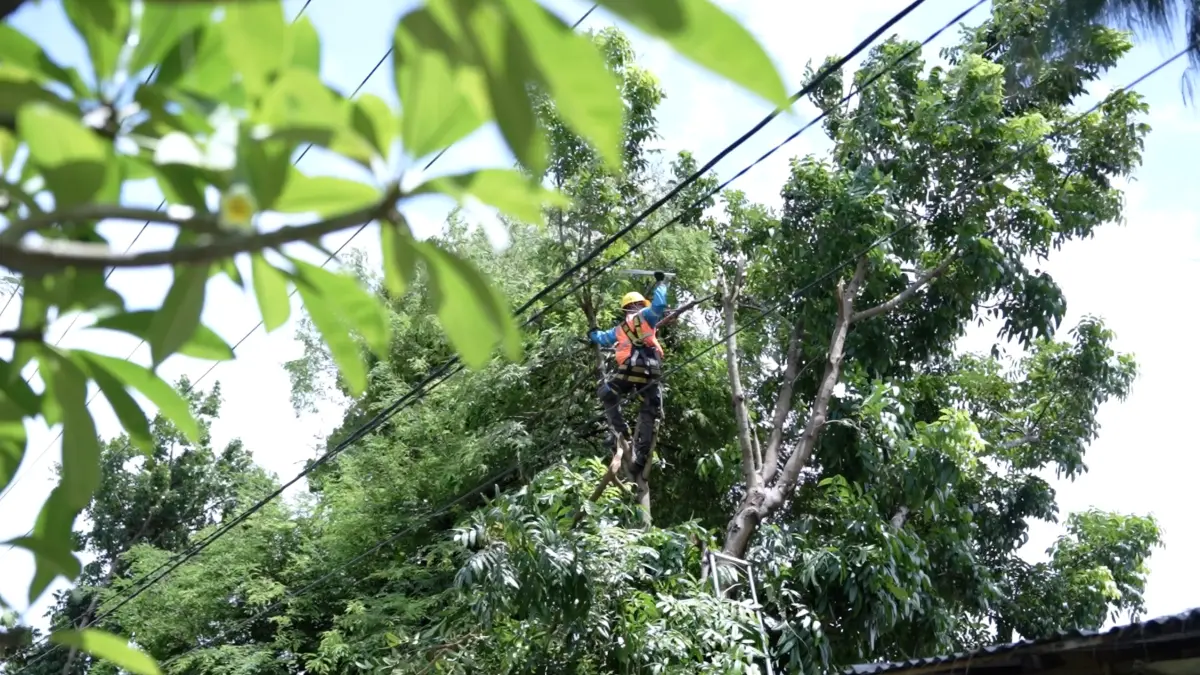 Petugas PLN saat menjaga sistem jaringan listrik.&nbsp;