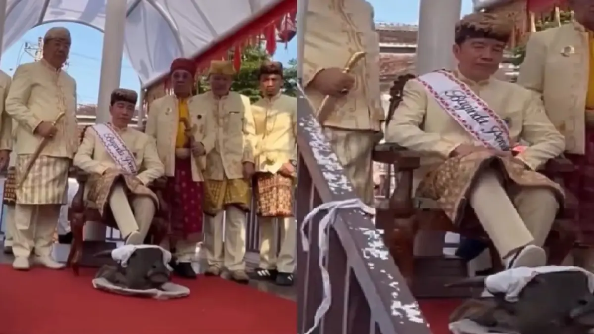 Presiden ke-7 RI Joko Widodo (Jokowi) yang menginjak kepala kerbau saat mengikuti prosesi pemberian gelar adat "Baginda Pemuka Bangsa" di Kedaton Keagungan Lampung, Sabtu (27/6/2026), menjadi perbincangan hangat di media sosial.