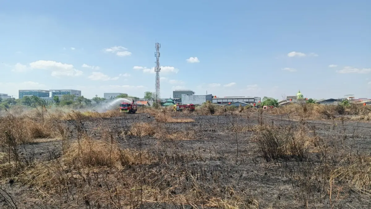 Mobil Damkar berusaha memadamkan api dilahan kosong depan pasar MAJT Mas yang terbakar, Selasa siang (7/7/26) (Sulistiono) 