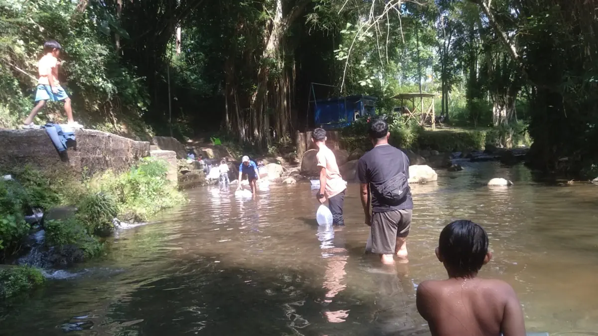 Puluhan remaja Pecinta dan Pelestari Alam Tengaran menebar 1.900 bibit ikan di aliran Sungai Serang, Kecamatan Tengaran, Kabupaten Semarang.