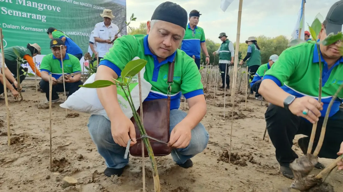 Penanaman 250 bibit Mangrove oleh Amdatara dan DLHK Jateng di Kawasan Pesisir Mangkang Kota Semarang.