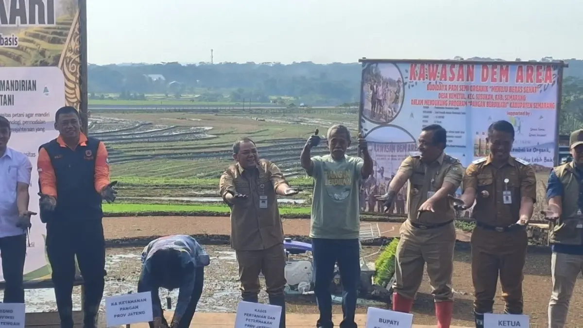 Bupati Semarang Ngesti Nugraha, Sekretaris Daerah Kabupaten Semarang Valeanto Soekendro, dan Kepala Dinas Pertanian Perikanan dan Pangan Kabupaten Semarang Moh Edy Sukarno tanam padi di Desa Kemetul Kecamatan Susukan.