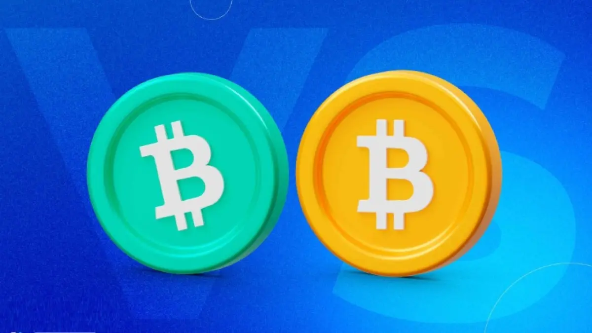 BCH vs BCS. (Bitnovo)