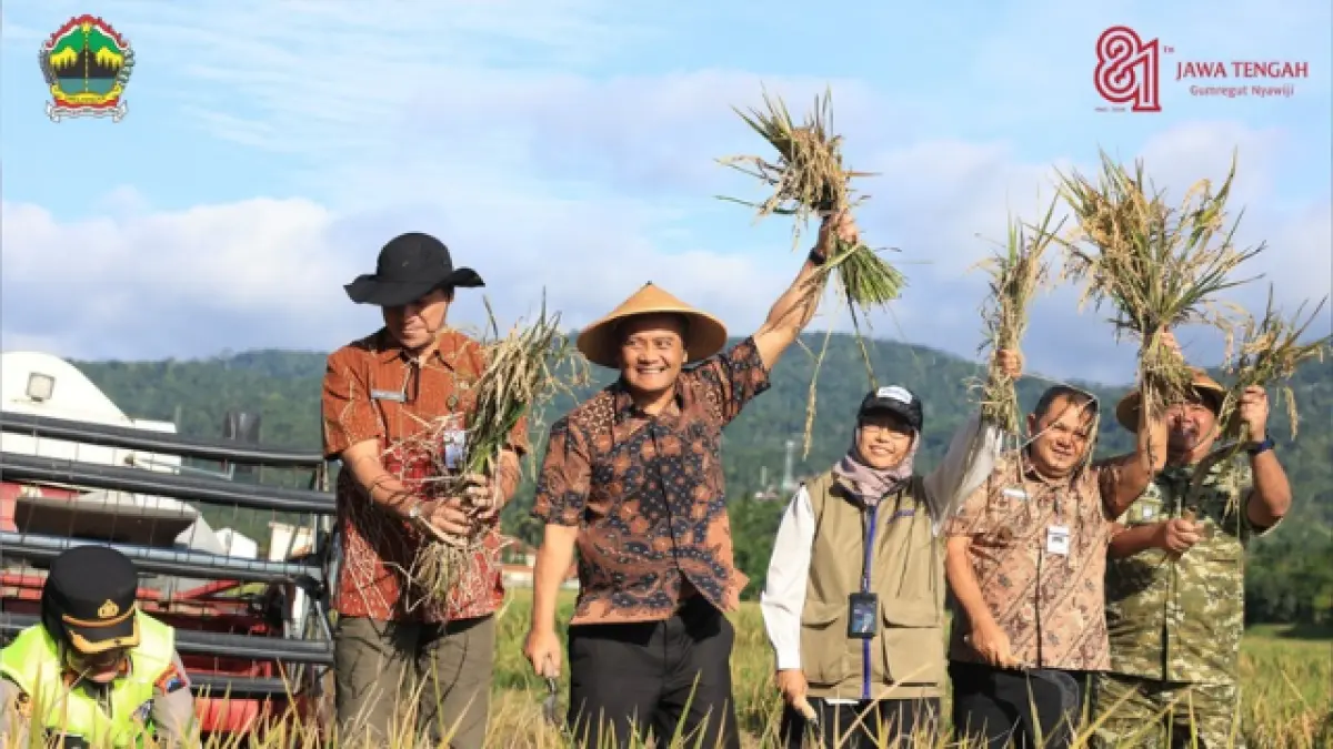 Gubernur Ahmad Luthfi melakukan panen raya di Kabupaten Semarang