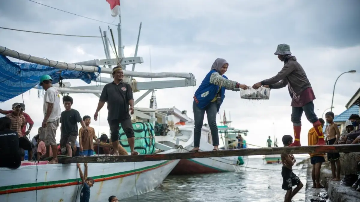 81 Tahun Indonesia Merdeka, Danantara dan BRI Menjangkau Pelosok Negeri dari Perbatasan Terdepan hingga Pulau Terluar​