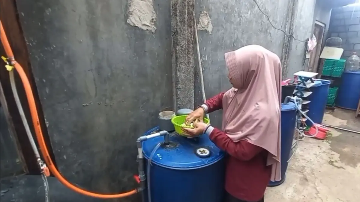 Karang Taruna Dharma Remaja Desa Manggihan, Kecamatan Getasan, Kabupaten Semarang sulap sampah organik jadi energi.